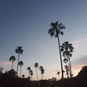 Meet your Posher, Reagan